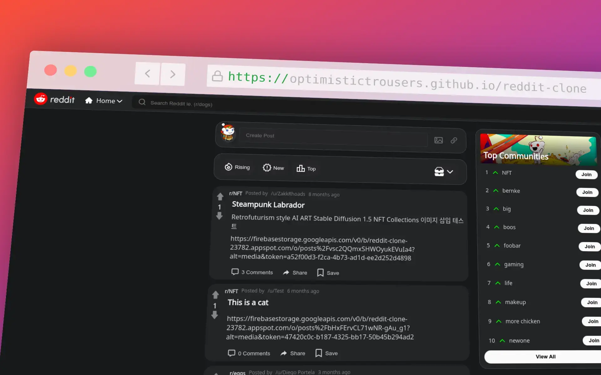 Screenshot of a Reddit clone webpage with a dark theme. Features a post about a 'Steampunk Labrador' NFT and another post titled 'This is a cat'. On the right, there's a sidebar displaying top communities like 'NFT', 'bernke', and 'big'.