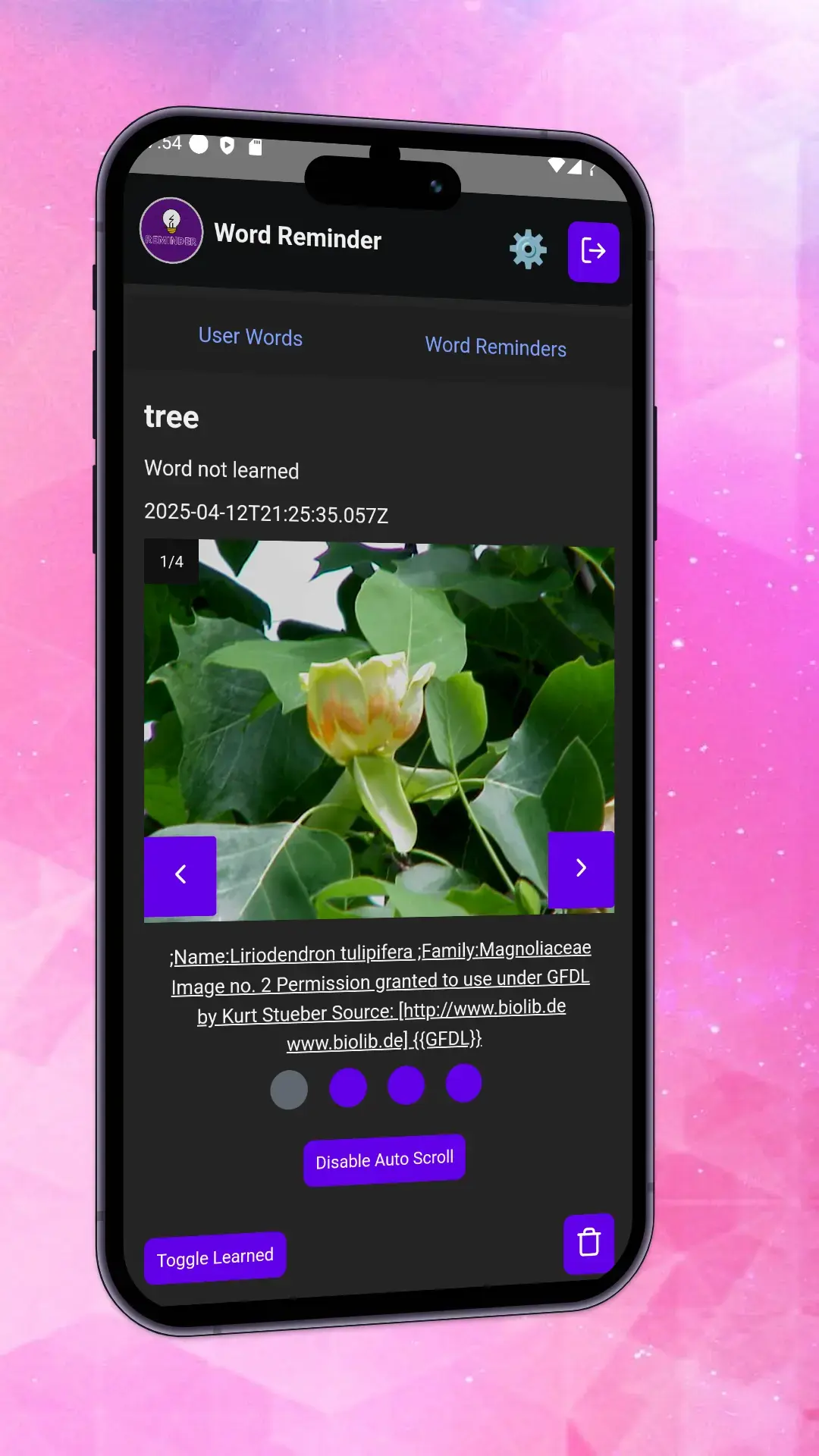 Word Reminder mobile user word page